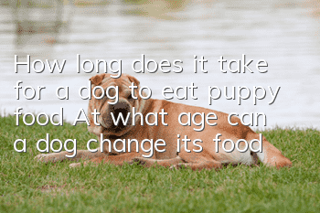 How long does it take for a dog to eat puppy food? At what age can a dog change its food?