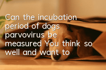 Can the incubation period of dogs’ parvovirus be measured? You think so well and want to test it in advance?