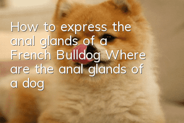 How to express the anal glands of a French Bulldog? Where are the anal glands of a dog?