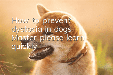 How to prevent dystocia in dogs? Master, please learn quickly