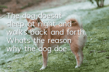 The dog doesn't sleep at night and walks back and forth. What's the reason why the dog doesn't sleep at night?