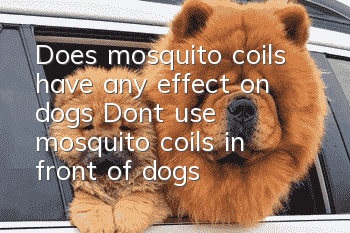 Does mosquito coils have any effect on dogs? Don’t use mosquito coils in front of dogs!