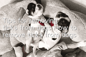 Tips for removing ticks from dogs How to remove ticks from dogs