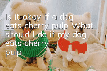 Is it okay if a dog eats cherry pulp? What should I do if my dog eats cherry pulp?