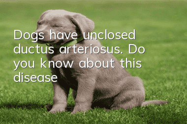 Dogs have unclosed ductus arteriosus. Do you know about this disease?