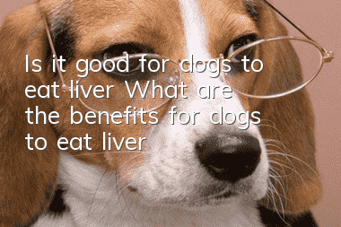 Is it good for dogs to eat liver? What are the benefits for dogs to eat liver?