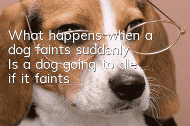 What happens when a dog faints suddenly? Is a dog going to die if it faints?