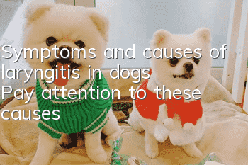 Symptoms and causes of laryngitis in dogs: Pay attention to these causes