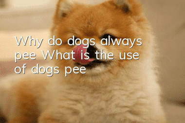Why do dogs always pee? What is the use of dogs’ pee?