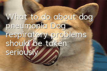 What to do about dog pneumonia? Dog respiratory problems should be taken seriously