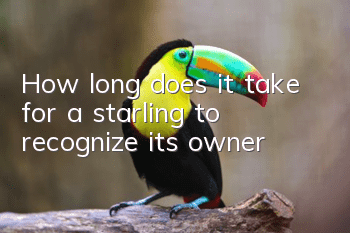 How long does it take for a starling to recognize its owner?