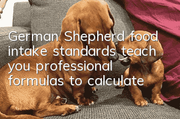 German Shepherd food intake standards teach you professional formulas to calculate