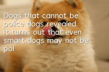 Dogs that cannot be police dogs revealed. It turns out that even smart dogs may not be police dogs.
