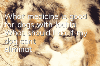 What medicine is good for dogs with lochia? What should I do if my dog can’t eliminate lochia?