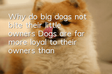 Why do big dogs not bite their little owners? Dogs are far more loyal to their owners than similar dogs