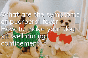 What are the symptoms of puerperal fever? How to make your dog sit well during confinement?