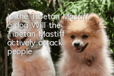 Is the Tibetan Mastiff a dog? Will the Tibetan Mastiff actively attack people?