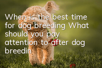 When is the best time for dog breeding? What should you pay attention to after dog breeding is completed?