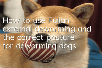 How to use Fulian external deworming and the correct posture for deworming dogs