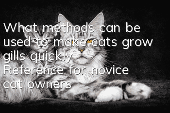 What methods can be used to make cats grow gills quickly? Reference for novice cat owners!