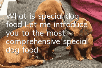 What is special dog food? Let me introduce you to the most comprehensive special dog food