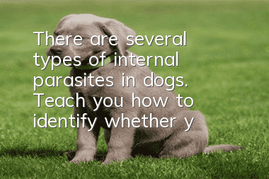 There are several types of internal parasites in dogs. Teach you how to identify whether your dog is infected with parasites.