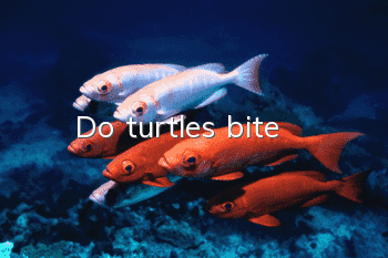 Do turtles bite?
