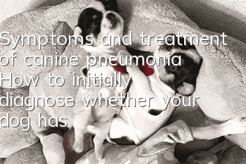 Symptoms and treatment of canine pneumonia How to initially diagnose whether your dog has pneumonia