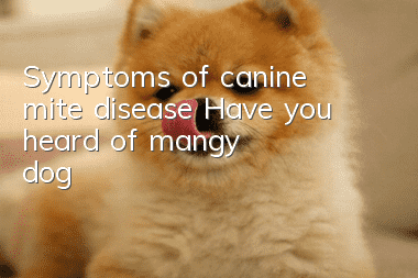 Symptoms of canine mite disease Have you heard of “mangy dog”?