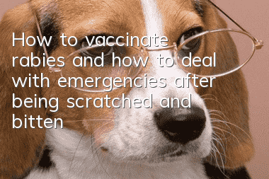 How to vaccinate rabies and how to deal with emergencies after being scratched and bitten by a suspicious animal