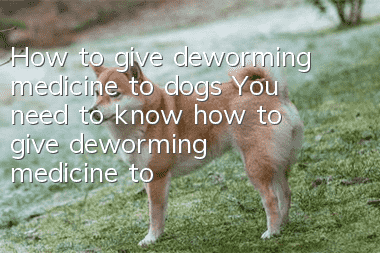 How to give deworming medicine to dogs You need to know how to give deworming medicine to dogs!