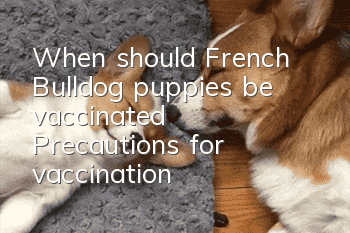 When should French Bulldog puppies be vaccinated? Precautions for vaccination