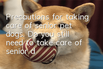 Precautions for taking care of senior pet dogs. Do you still need to take care of senior dogs in the same way?