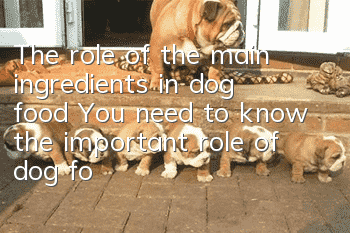 The role of the main ingredients in dog food You need to know the important role of dog food ingredients!