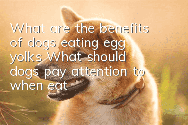 What are the benefits of dogs eating egg yolks? What should dogs pay attention to when eating egg yolks?