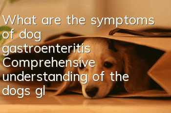 What are the symptoms of dog gastroenteritis? Comprehensive understanding of the dog’s glass stomach