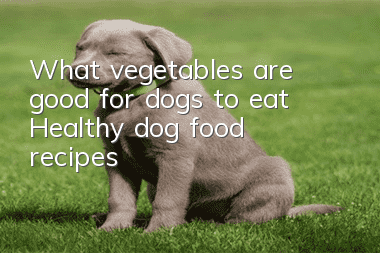 What vegetables are good for dogs to eat? Healthy dog food recipes