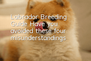 Labrador Breeding Guide: Have you avoided these four misunderstandings?
