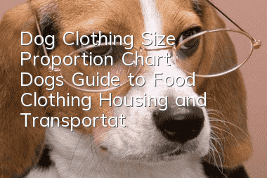 Dog Clothing Size Proportion Chart Dog’s Guide to Food, Clothing, Housing and Transportation