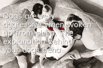 Dogs are very aggressive when woken up from sleep. The explanation behind your dog’s behavior