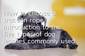 How to choose a traction rope? Introduction to the five types of dog leashes commonly used by dogs when going out.