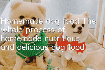 Homemade dog food The whole process of homemade nutritious and delicious dog food