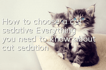 How to choose a cat sedative! Everything you need to know about cat sedation!