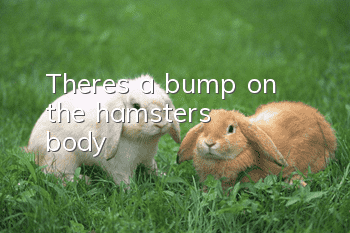There's a bump on the hamster's body