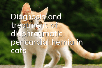 Diagnosis and treatment of diaphragmatic pericardial hernia in cats!