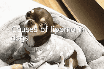 Causes of lipoma in dogs