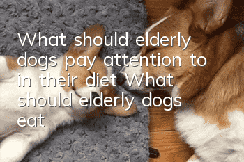 What should elderly dogs pay attention to in their diet? What should elderly dogs eat?