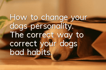 How to change your dog’s personality. The correct way to correct your dog’s bad habits.
