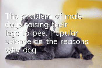 The problem of male dogs raising their legs to pee. Popular science on the reasons why dogs raise their legs to pee.