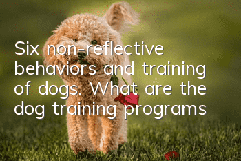 Six non-reflective behaviors and training of dogs. What are the dog training programs?